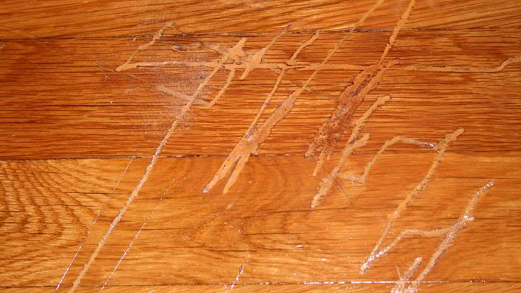 Should i get my wood floors sanded?